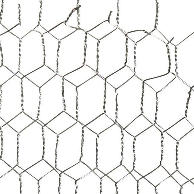 Wire Mesh Woven Wire Mesh